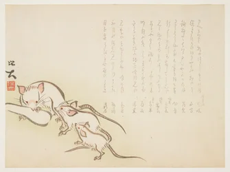 (Topi bianchi), gennaio 1864